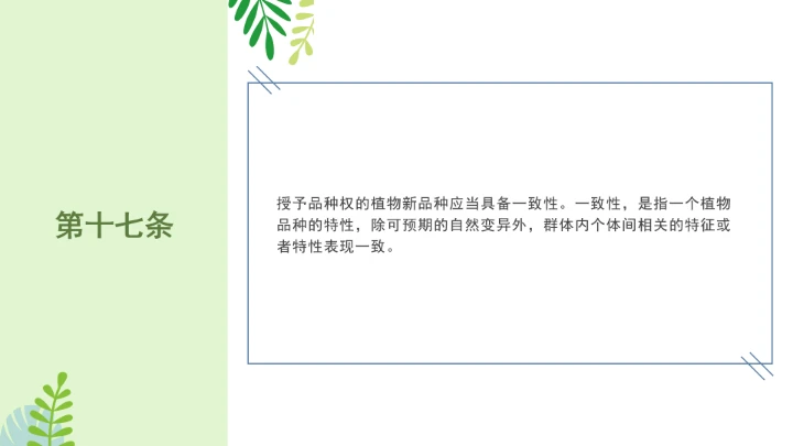 普法全文学习2025年4月新修订《中华人民共和国植物新品种保护条例》PPT课件