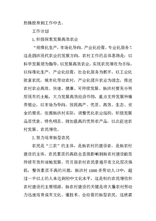 XX乡镇长个人工作计划方案