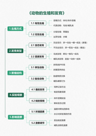 学习笔记-《动物的生殖和发育》绿色竖版word模板