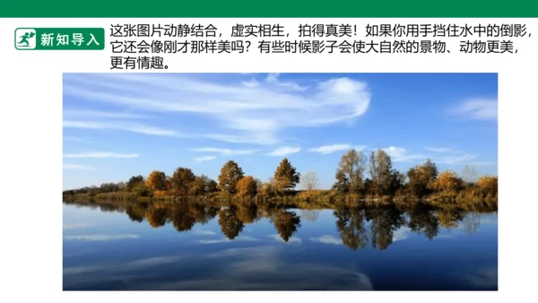 第十七课《画影子》课件