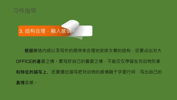 国宝大熊猫语文课教学课件通用PPT模板