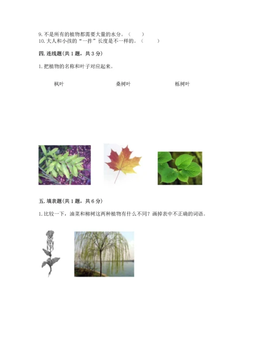 教科版小学一年级上册科学期末测试卷【中心小学】.docx