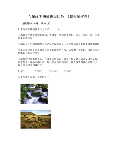 六年级下册道德与法治 《期末测试卷》（考试直接用）.docx