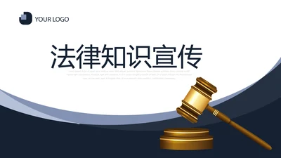 严谨大气法律知识宣传动态PPT