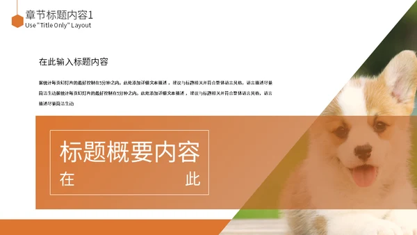 宠物乐园萌宠狗狗主题通用PPT模板