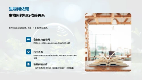 生态守护小卫士