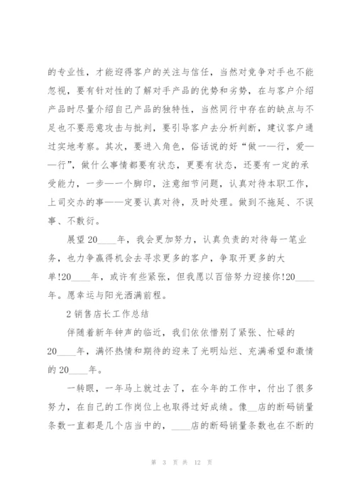 销售店长工作总结5篇.docx