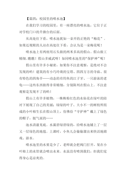 喷水池作文0.docx