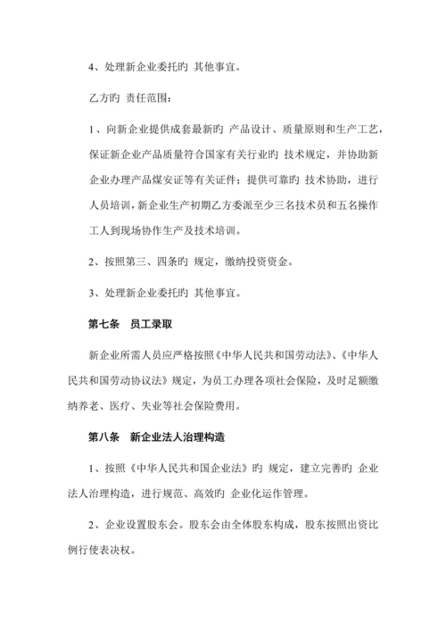 共同出资成立新公司方案.docx