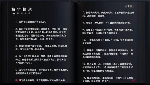 《白夜行》读书分享通用PPT模板
