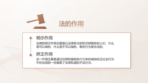 简约大气法律知识工作汇报动态PPT