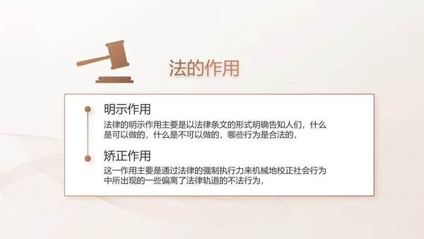 简约大气法律知识工作汇报动态PPT