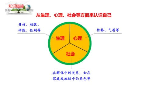 3.1  认识自己 课件（26张PPT）