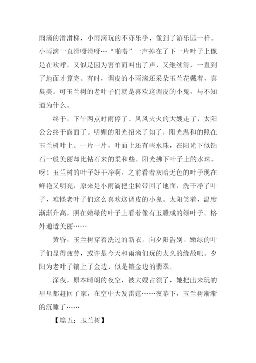 关于玉兰树的作文.docx