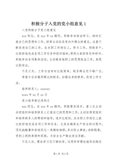 积极分子入党的党小组意见1 (2).docx