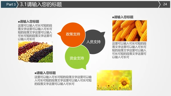 食品药监局食品卫生安全PPT模板