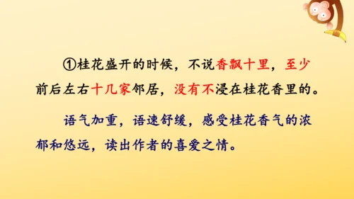 3 桂花雨   课件