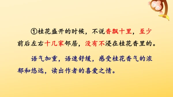 3 桂花雨   课件