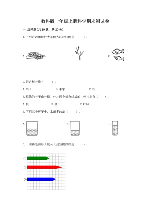 教科版一年级上册科学期末测试卷含解析答案.docx