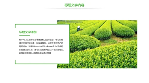 唯美绿色茶园文化茶艺品茶论道动态PPT模板