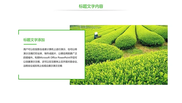 唯美绿色茶园文化茶艺品茶论道动态PPT模板