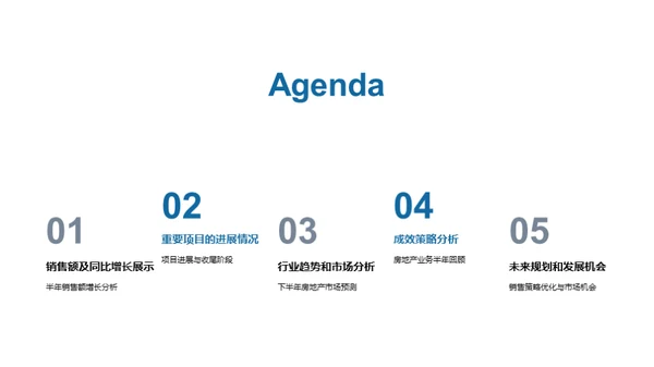 半年业绩回顾与展望