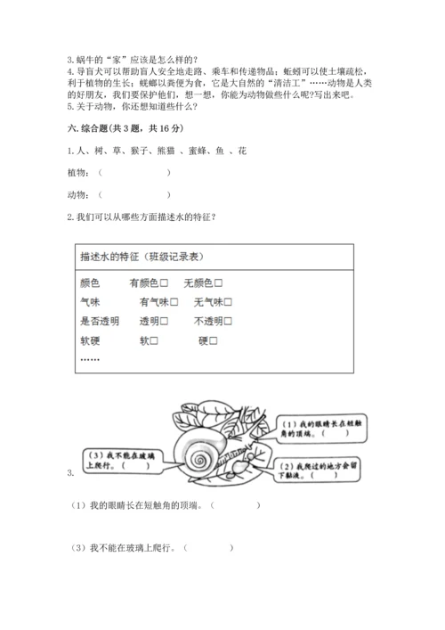 教科版一年级下册科学期末测试卷附答案解析.docx