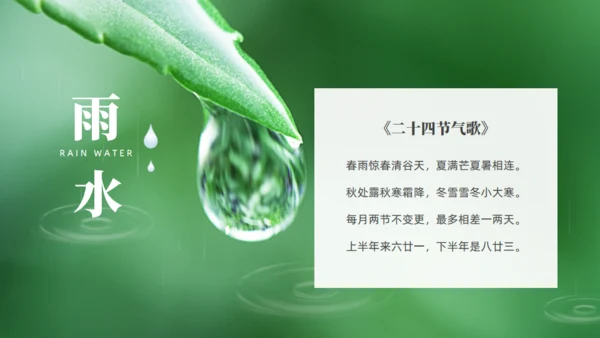 雨水绿色露水背景通用PPT模板