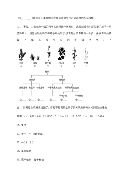 济南版七上生物第二单元第一章第一节绿色植物的主要类群同步测试（带答案）