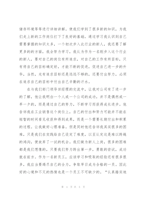 新人入职培训工作个人总结.docx