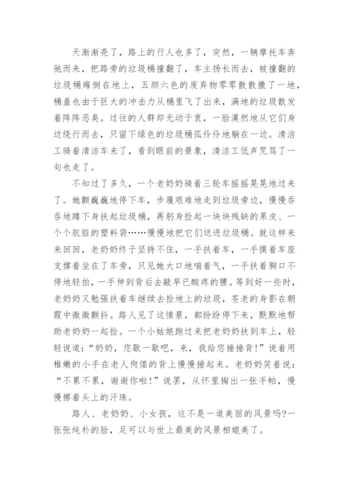 描写风景作文600字.docx