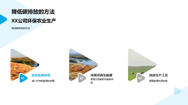 绿色之路：XX农业的环保探索