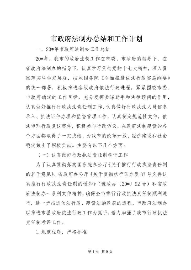 市政府法制办总结和工作计划.docx