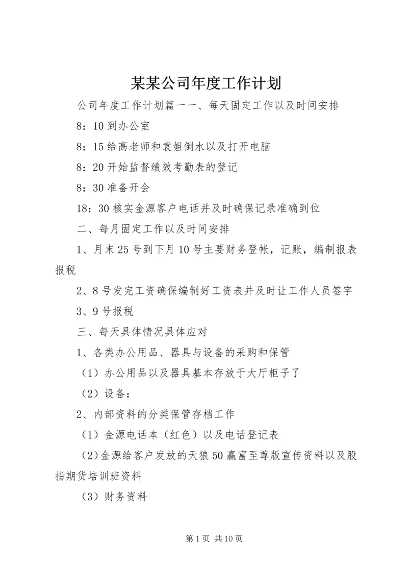 某某公司年度工作计划.docx