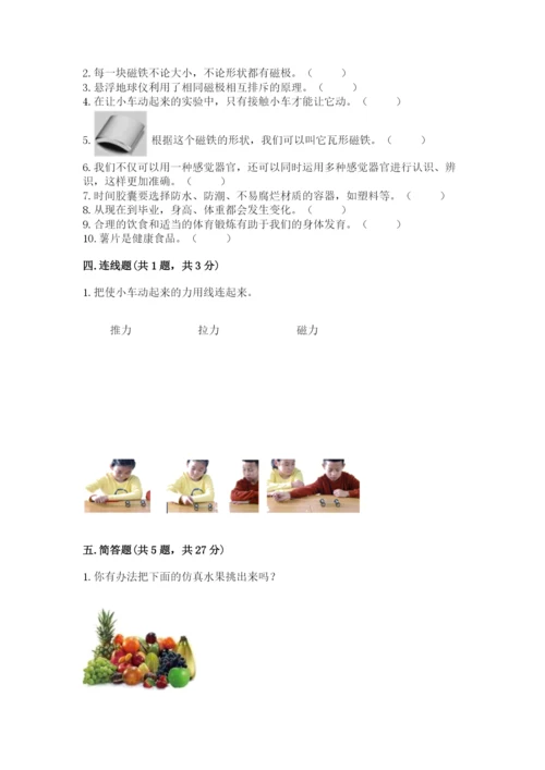教科版小学科学二年级下册期末测试卷附参考答案（基础题）.docx
