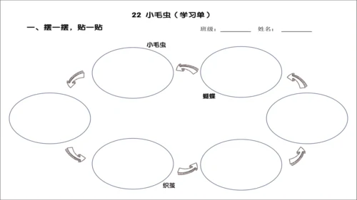 22《小毛虫》课件