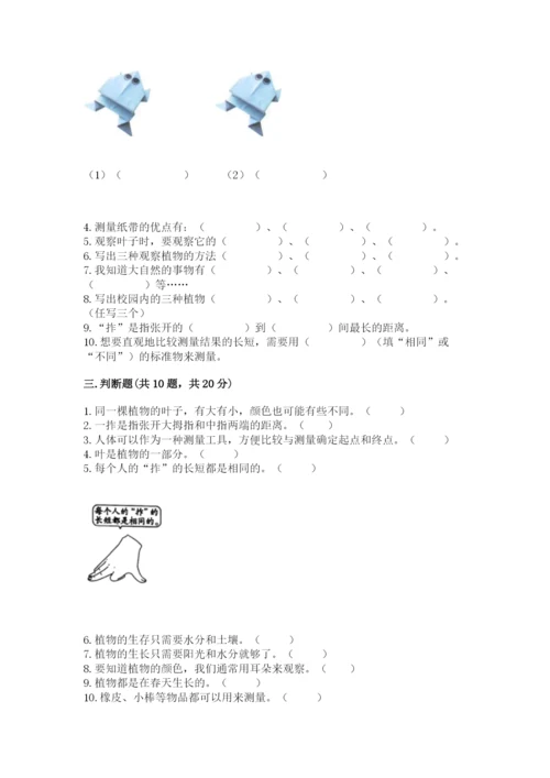 教科版一年级上册科学期末测试卷（重点班）.docx