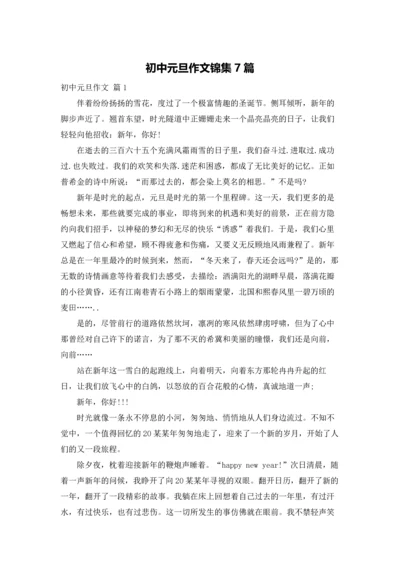 初中元旦作文锦集7篇.docx