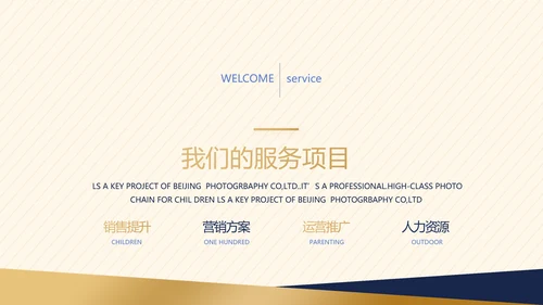 高端创业融资计划书商业项目计划书动态PPT