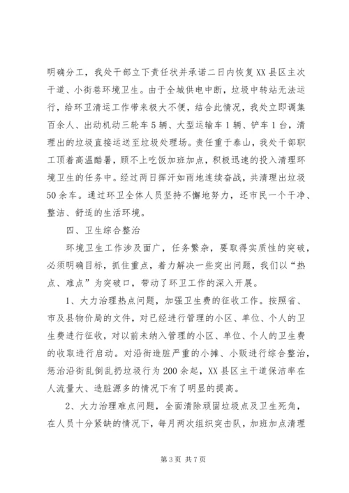 环卫处工作总结及工作计划.docx