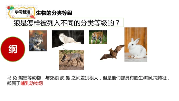 人教版生物七年级上册2.4.2《生物分类的方法——从种到界》课件(共26张PPT)