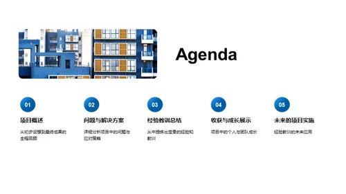 项目实施反思与展望