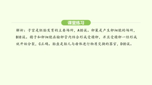 第四单元-第一章-第一节 人的生殖课件-2024-2025学年七年级生物下学期人教版(2024)(共