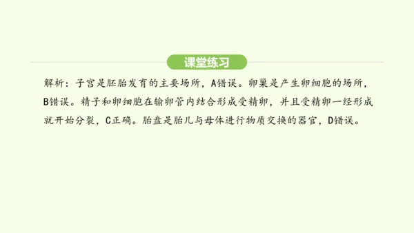 第四单元-第一章-第一节 人的生殖课件-2024-2025学年七年级生物下学期人教版(2024)(共