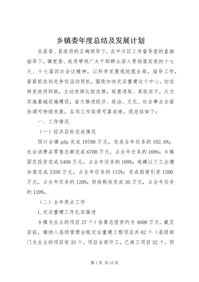 乡镇委年度总结及发展计划.docx