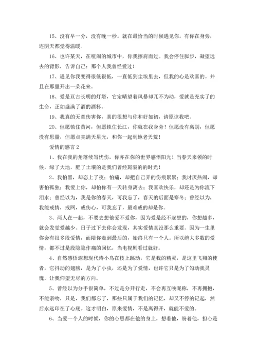 爱情的感言15篇.docx