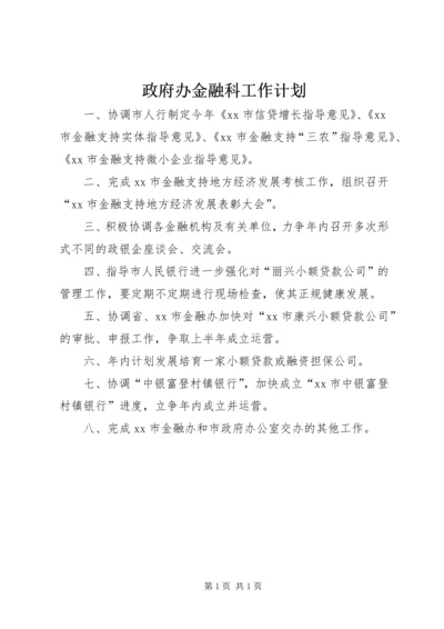 政府办金融科工作计划.docx