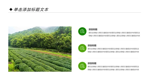 绿色清新茶园茶艺茶道文化动态PPT模板