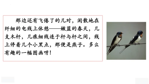 2《燕子》课件