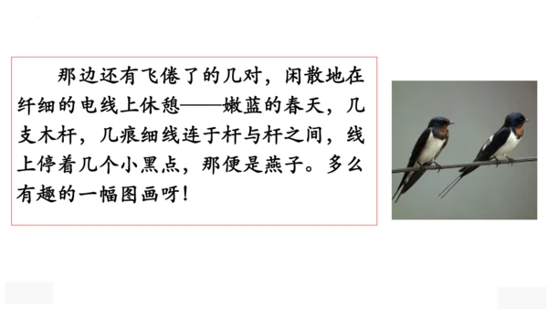 2《燕子》课件